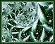 Wintergreen