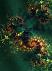 Universe of Chaos