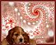 Puppy01