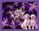 Puppy06